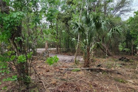 Terreno en venta en Kissimmee, Florida № 2233577 - foto 4