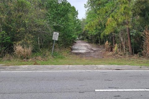 Terreno en venta en Kissimmee, Florida № 2233577 - foto 7