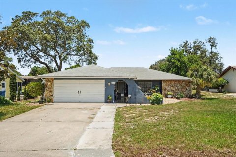 Casa en Weeki Wachee, Florida 3 dormitorios, 165.92 m2 № 2156071