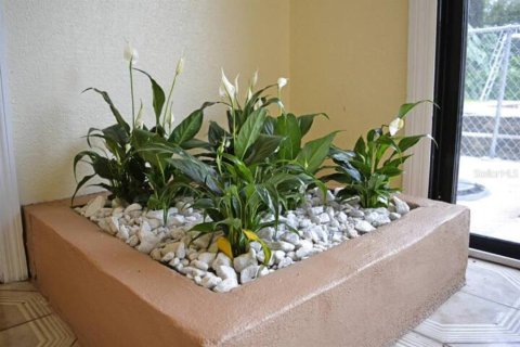 Appartement à louer à Orlando, Floride: 1 chambre, 18.77 m2 № 600689 - photo 16