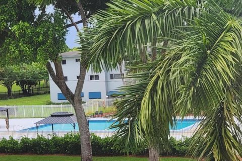 Condo in Hollywood, Florida, 1 bedroom  № 2260955 - photo 29