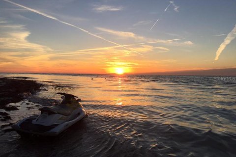 Copropriété à louer à Palm Harbor, Floride: 2 chambres, 107.3 m2 № 1918639 - photo 22