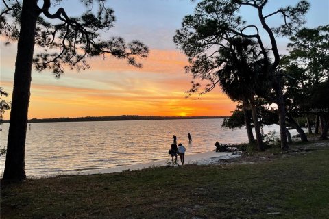 Copropriété à louer à Palm Harbor, Floride: 2 chambres, 107.3 m2 № 1918639 - photo 24