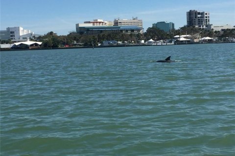 Copropriété à louer à Palm Harbor, Floride: 2 chambres, 107.3 m2 № 1918639 - photo 23