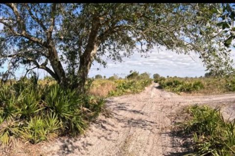 Immobilier commercial à Okeechobee, Floride № 2259661
