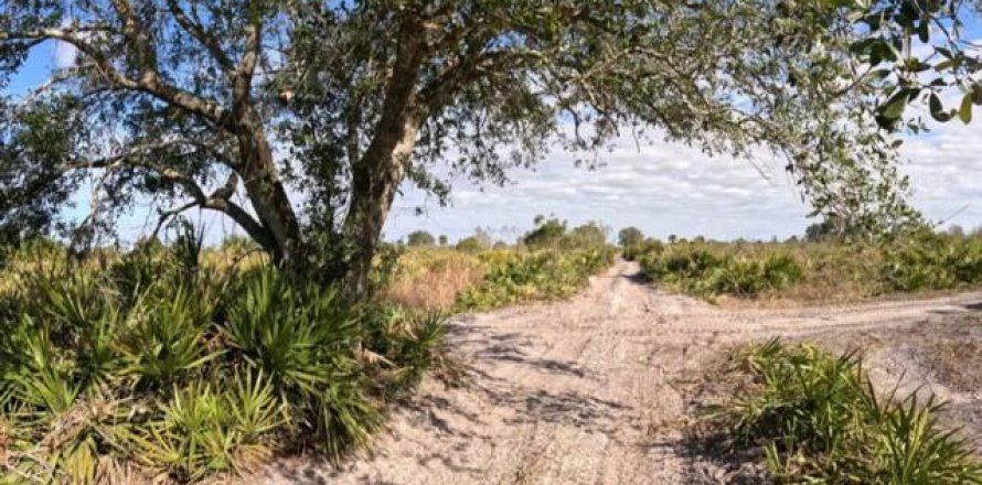 Immobilier commercial à Okeechobee, Floride № 2259661