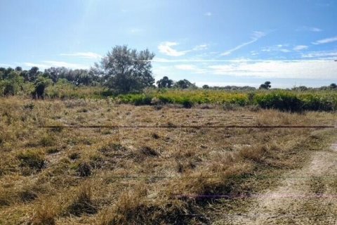 Immobilier commercial à vendre à Okeechobee, Floride № 2259661 - photo 3