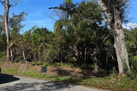 Land in Englewood, Florida № 1817881 - photo 3