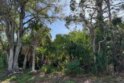 Land in Englewood, Florida № 1817881 - photo 2