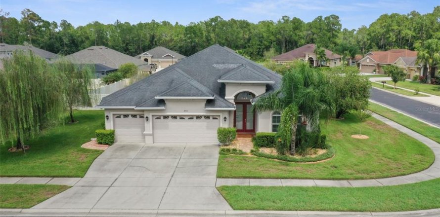 House in Wesley Chapel, Florida 4 bedrooms, 247.58 sq.m. № 1918532