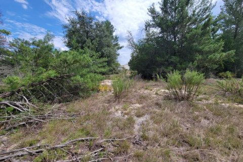 Terrain à vendre à Ocala, Floride № 1917121 - photo 3