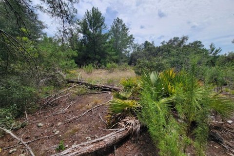 Terrain à vendre à Ocala, Floride № 1917121 - photo 5