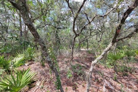 Terrain à vendre à Ocala, Floride № 1917121 - photo 11