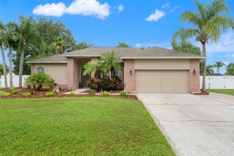 House in Land O' Lakes, Florida 3 bedrooms, 178.56 sq.m. № 1816294 - photo 1