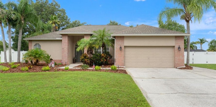 House in Land O' Lakes, Florida 3 bedrooms, 178.56 sq.m. № 1816294