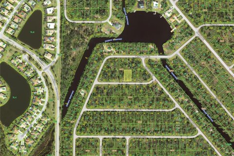 Land in Port Charlotte, Florida № 2235124 - photo 3