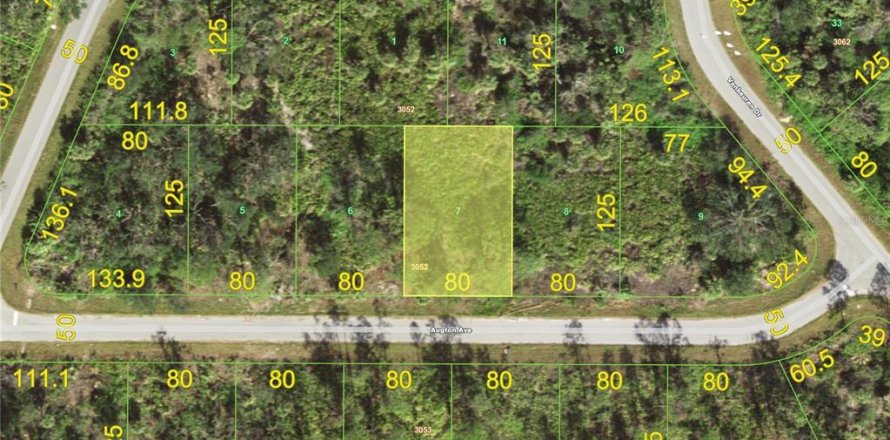 Land in Port Charlotte, Florida № 2235124