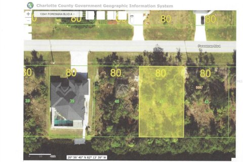 Land in Port Charlotte, Florida № 1743553 - photo 3