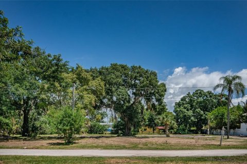 Terreno en venta en Ruskin, Florida № 608597 - foto 1