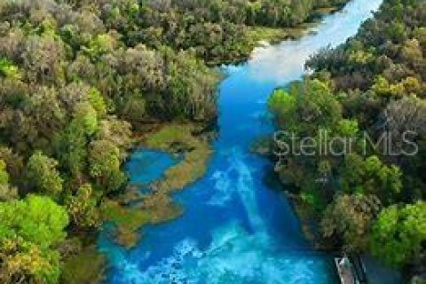 Купить виллу или дом в Ситрэс-Спрингс, Флорида 3 комнаты, 163.04м2, № 1589716 - фото 5