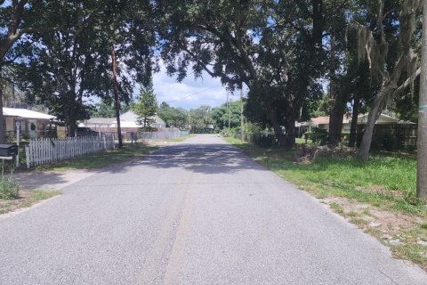 Land in Winter Haven, Florida № 1843746 - photo 3