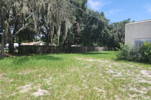Land in Winter Haven, Florida № 1843746 - photo 1
