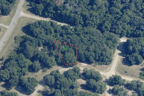 Land in Dunnellon, Florida № 2163281