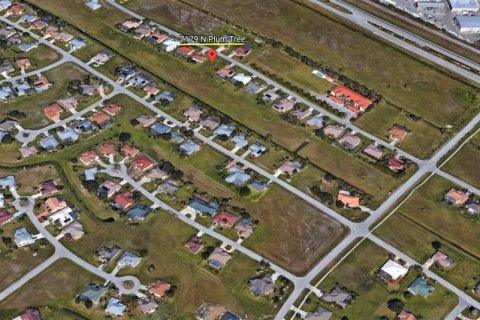 Land in Punta Gorda, Florida № 225859 - photo 3