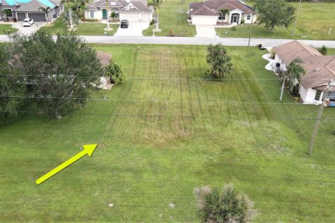 Land in Punta Gorda, Florida № 225859 - photo 12