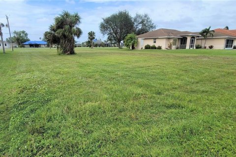 Land in Punta Gorda, Florida № 225859 - photo 8