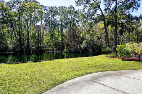 Copropriété à vendre à Lutz, Floride: 2 chambres, 127.09 m2 № 1041175 - photo 30