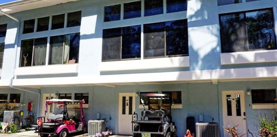 Condo à Lutz, Floride, 2 chambres  № 1041175