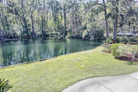 Copropriété à vendre à Lutz, Floride: 2 chambres, 127.09 m2 № 1041175 - photo 27