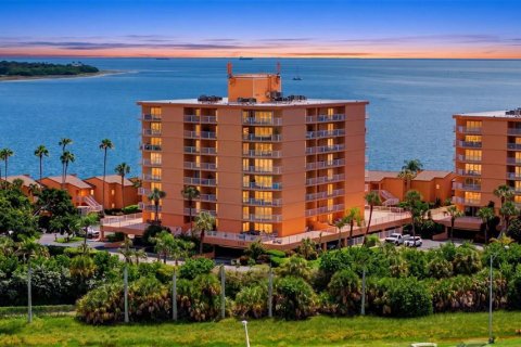 Condo in Saint Petersburg, Florida, 2 bedrooms № 2393660
