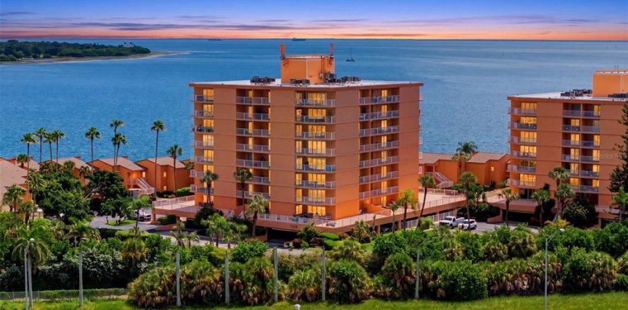 Condo in Saint Petersburg, Florida, 2 bedrooms  № 2393660