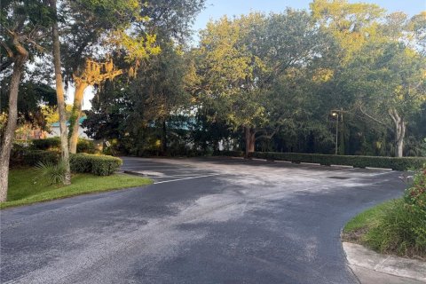 Commercial property in Ormond Beach, Florida 250.37 sq.m. № 2237619 - photo 3