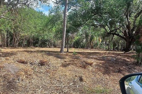 Land in Punta Gorda, Florida № 2166697 - photo 2