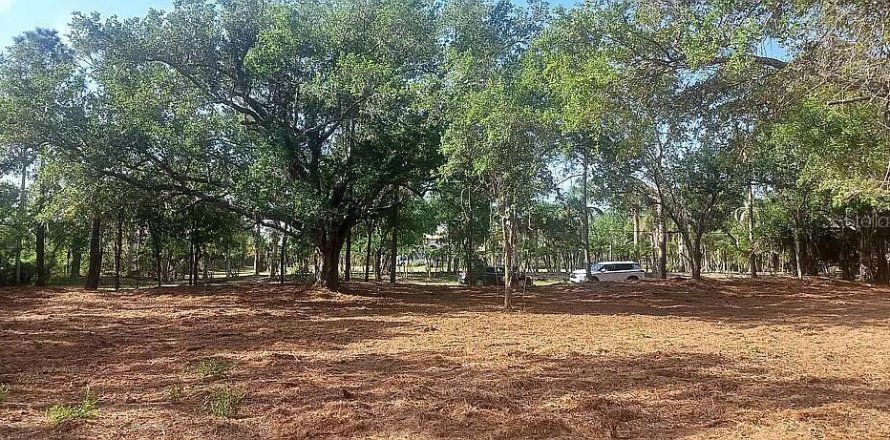 Land in Punta Gorda, Florida № 2166697