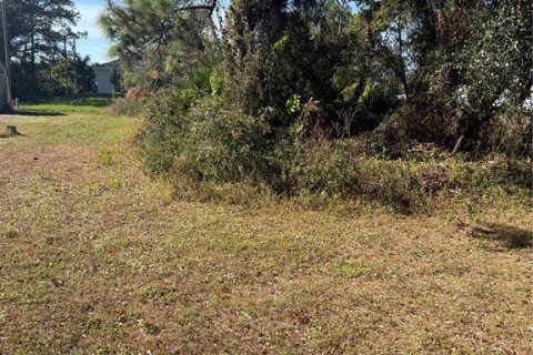 Land in Lehigh Acres, Florida № 2161182
