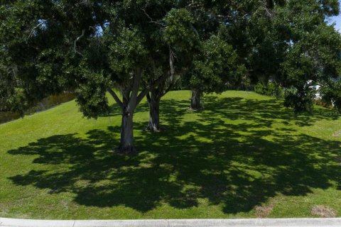 Land in Palm Harbor, Florida № 1856207 - photo 9