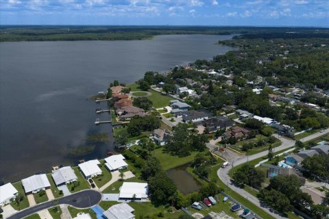 Land in Palm Harbor, Florida № 1856207 - photo 19
