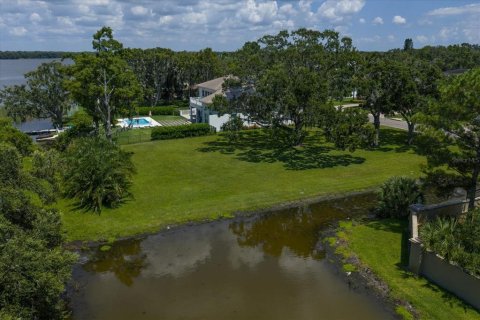 Land in Palm Harbor, Florida № 1856207 - photo 7