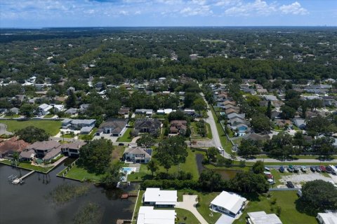 Land in Palm Harbor, Florida № 1856207 - photo 18