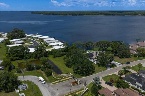 Land in Palm Harbor, Florida № 1856207 - photo 4