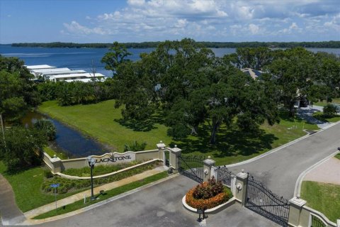 Land in Palm Harbor, Florida № 1856207 - photo 14
