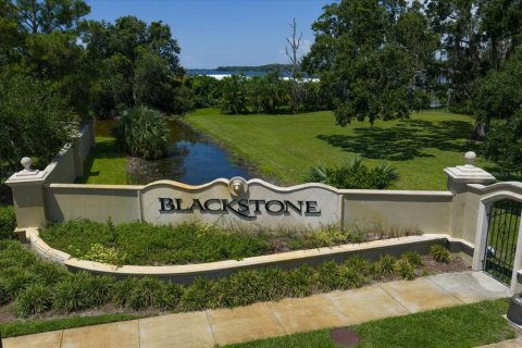 Land in Palm Harbor, Florida № 1856207 - photo 2