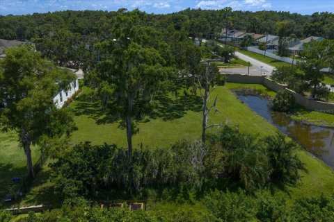 Land in Palm Harbor, Florida № 1856207 - photo 20