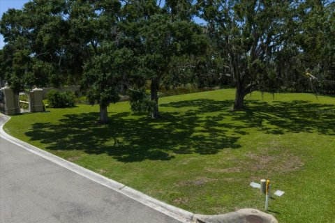 Land in Palm Harbor, Florida № 1856207 - photo 10