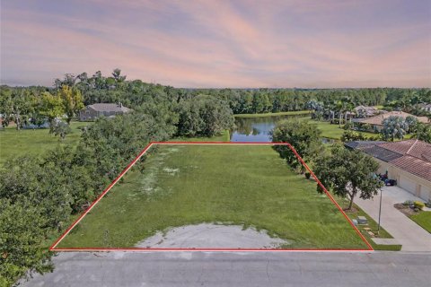 Land in Bradenton, Florida № 1870694 - photo 2