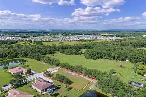 Land in Bradenton, Florida № 1870694 - photo 5